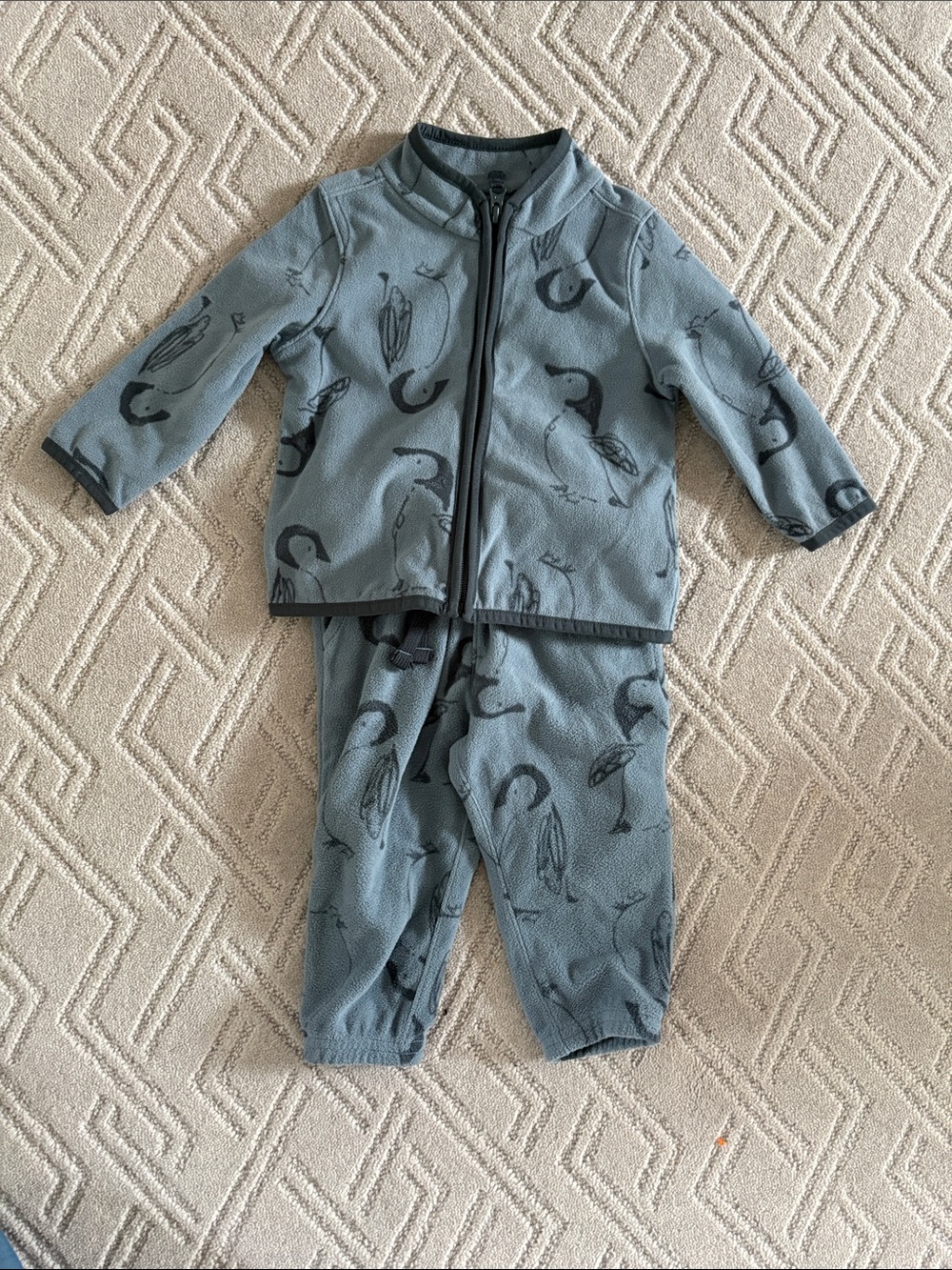 Kids Blue Penguin Fleece Set